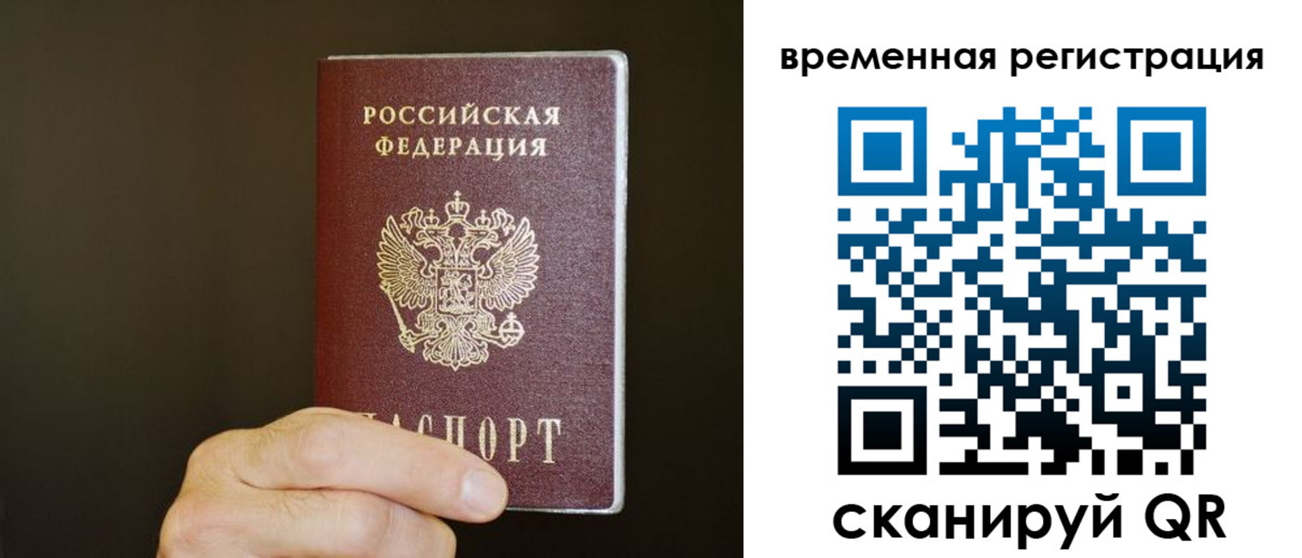 прописка гарантия в Тереке